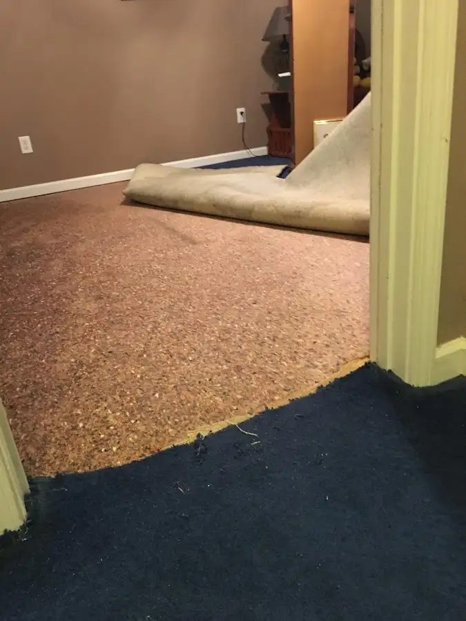 Carpet pad removal revealing water damage during Water Mitigation Services in Elk Plain