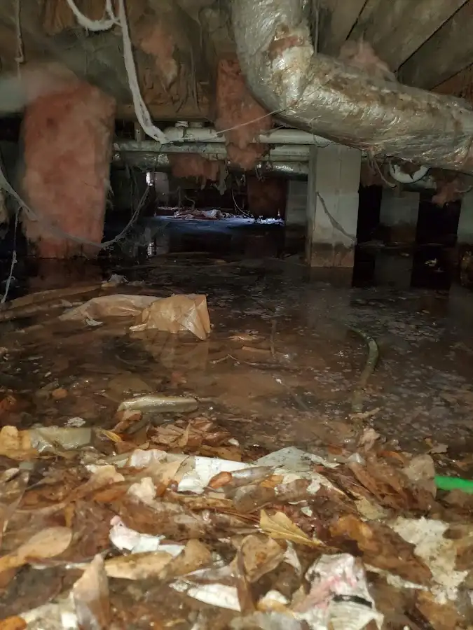 Crawl space flood assessment for Leak Detection & Repair in Elk Plain
