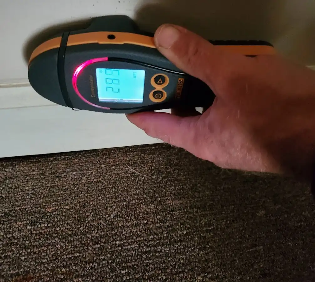 Moisture detection at baseboard during Sewage Cleanup & Sanitation in Elk Plain